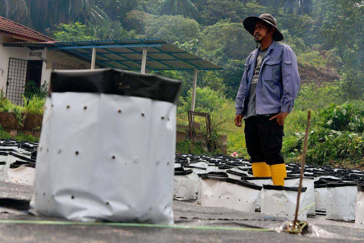Budget 2026: Government strengthens plantation sector with focus on smallholders, sustainability and innovation Budget 2026: Government strengthens plantation sector with focus on smallholders, sustainability and innovation