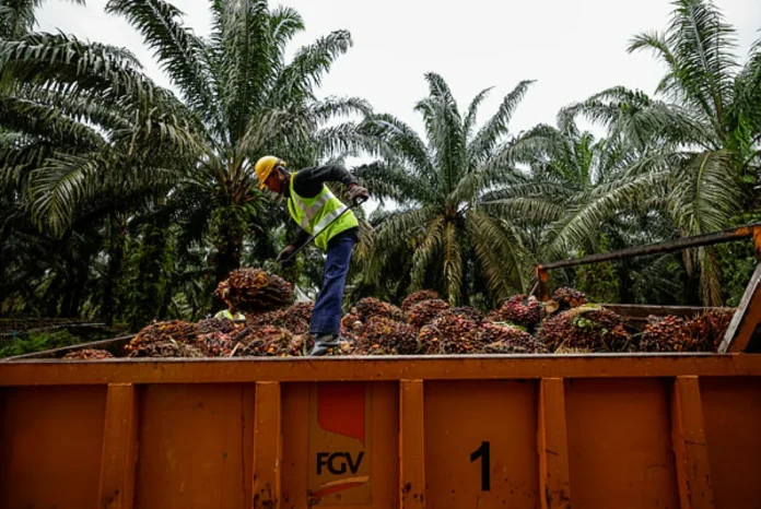 Pengecualian tarif AS beri manfaat positif industri minyak sawit Malaysia Pengecualian tarif AS beri manfaat positif industri minyak sawit Malaysia