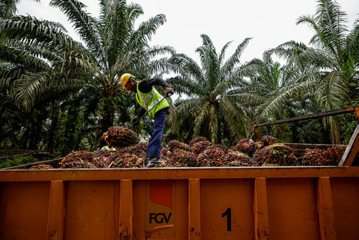 Pengecualian tarif AS beri manfaat positif industri minyak sawit Malaysia Pengecualian tarif AS beri manfaat positif industri minyak sawit Malaysia