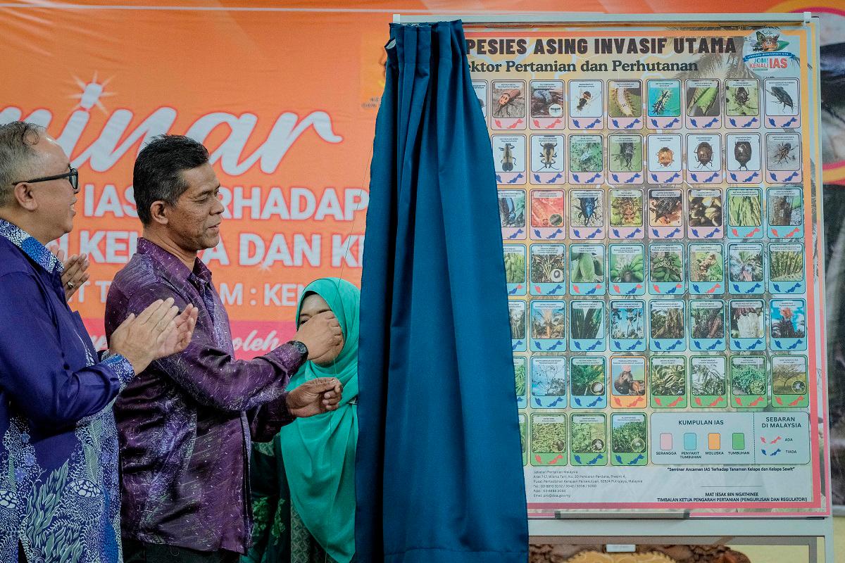 Guam beetle and red palm weevil threaten Malaysia’s oil palm plantations Guam beetle and red palm weevil threaten Malaysia’s oil palm plantations