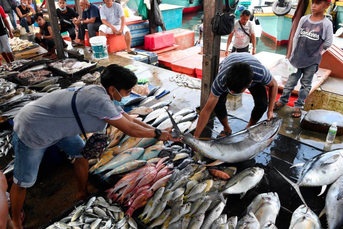 Industri tuna jadi pemacu utama ekonomi maritim Malaysia