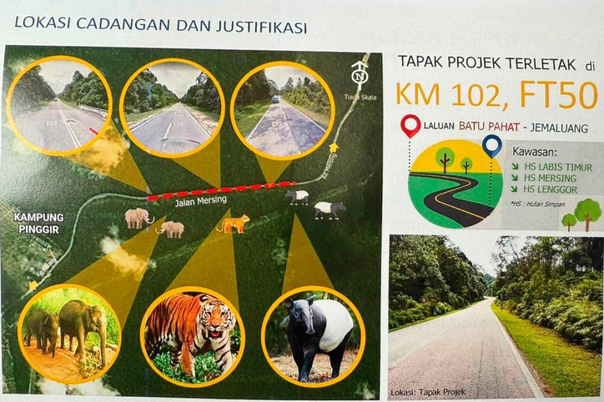 Johor to build first wildlife crossing on Federal Route FT50 Johor to build first wildlife crossing on Federal Route FT50