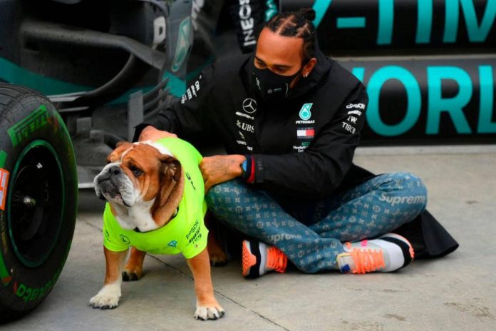 Lewis Hamilton mourns death of bulldog Roscoe after pneumonia battle