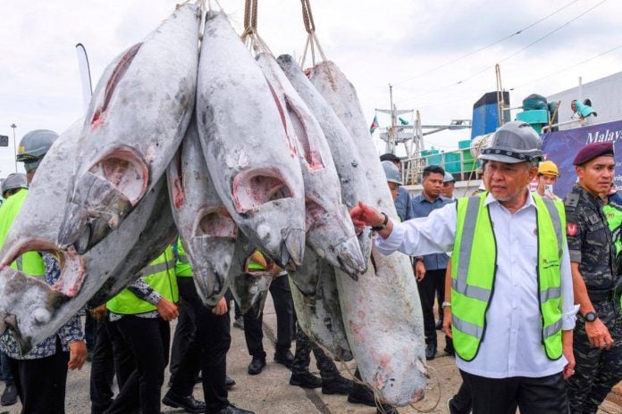 Malaysia aims to become regional tuna hub with new Penang initiative