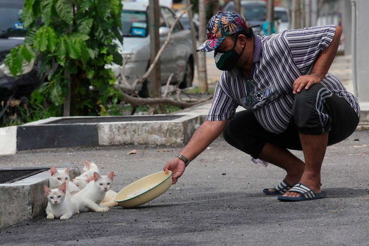 NGOs bemoan lack of funds for animal welfare in Budget 2026