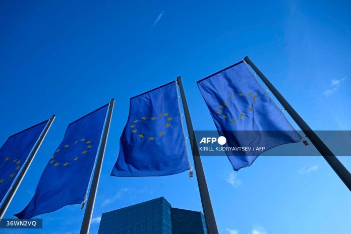 NGOs urge EU to exclude fossil fuels from sustainable investment labels