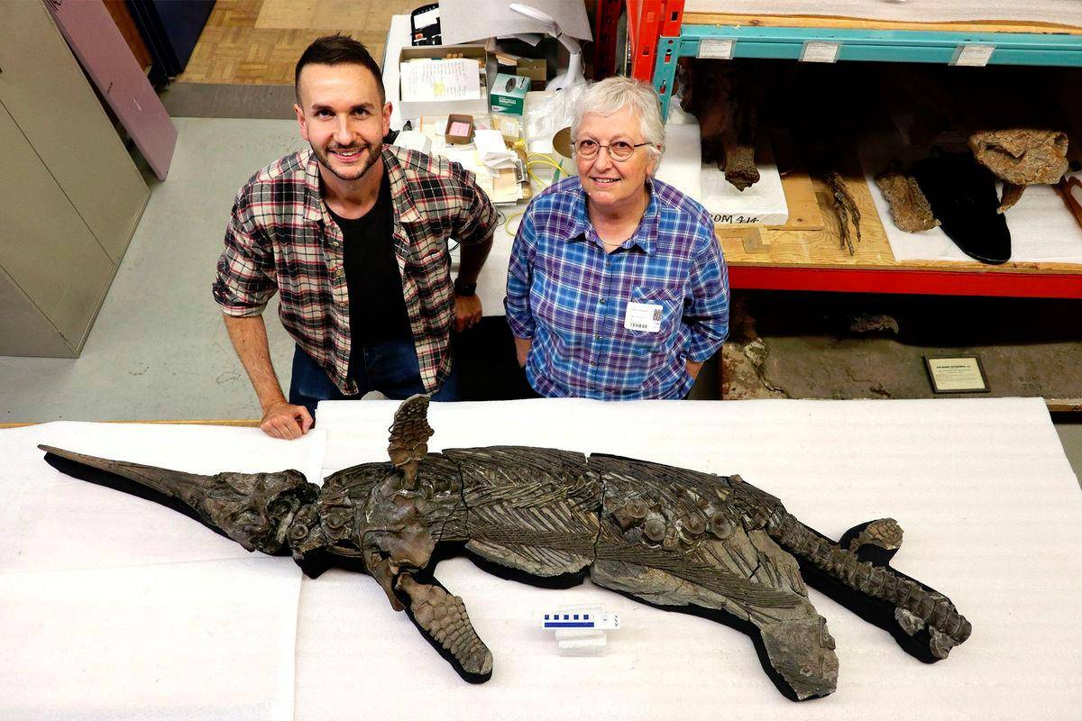 New Jurassic ‘sword dragon’ ichthyosaur species discovered in UK New Jurassic ‘sword dragon’ ichthyosaur species discovered in UK