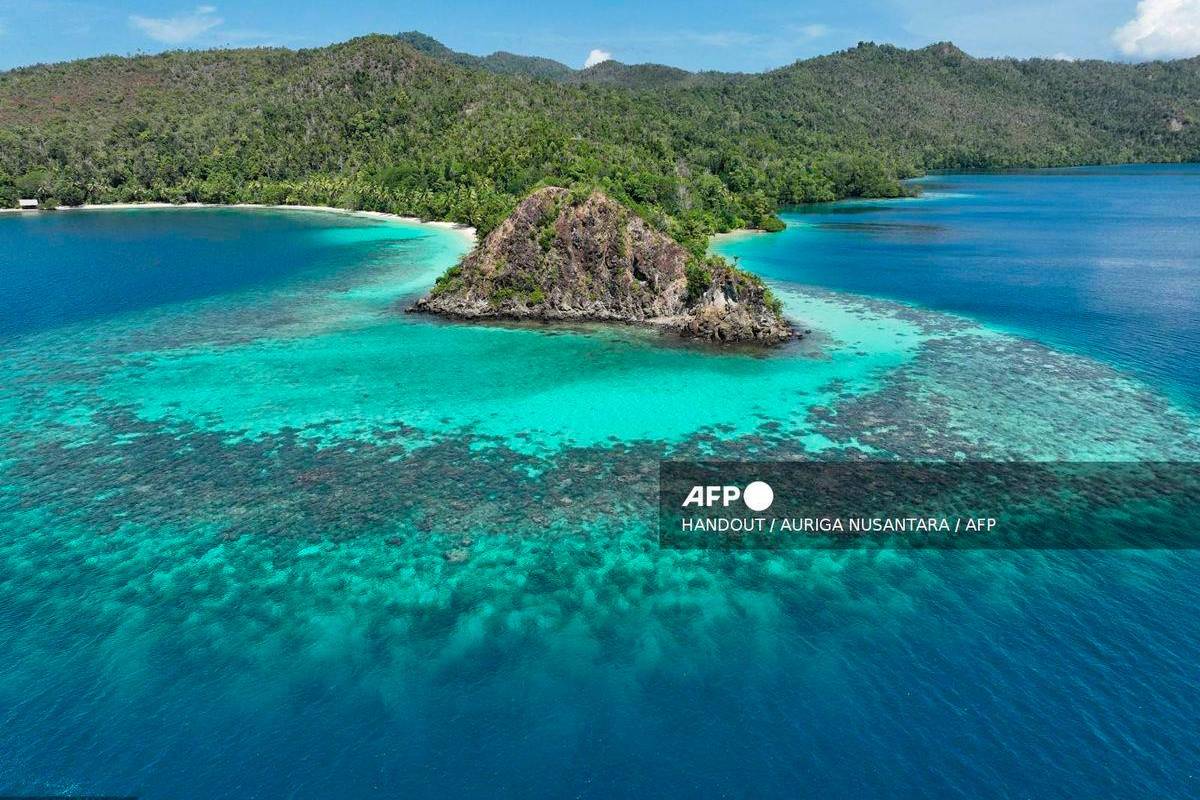 Nickel mining threatens Indonesia coral haven, NGOs warn