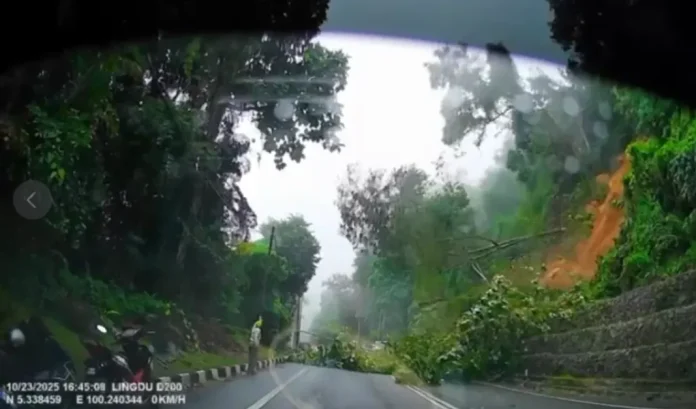 Penang-Jalan-Tun-Sardon-landslide Jalan Tun Sardon remains closed indefinitely after new landslides