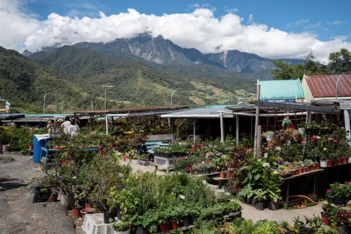 RM2.275 million modern hawker centre to benefit Kundasang entrepreneurs