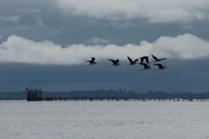 Weather warning for eight Malaysian states until noon today Weather warning for eight Malaysian states until noon today