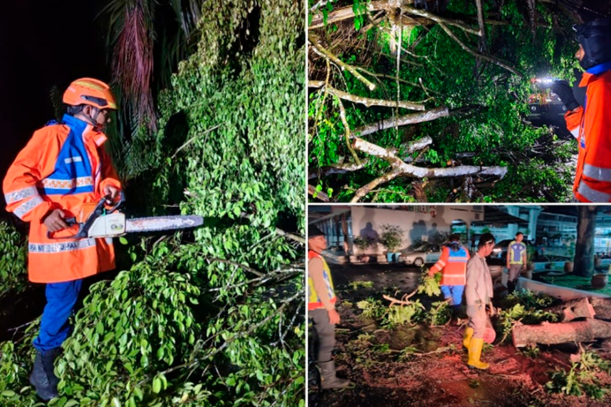 Strong storm in Hilir Perak causes fallen trees at seven locations