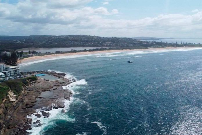 Sydney beaches closed after fatal shark attack prompts drone surveillance