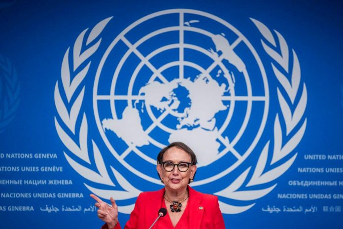 Tariff uncertainty threatens small business investment, UNCTAD warns