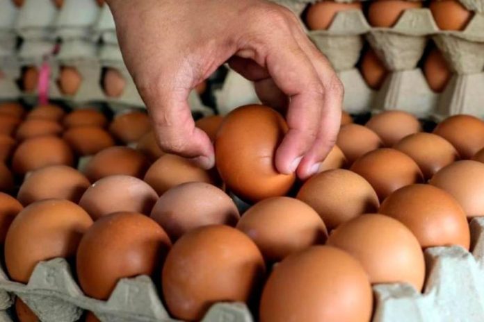 Tax Matters – Malaysia charts new course with self-funded Budget 2026