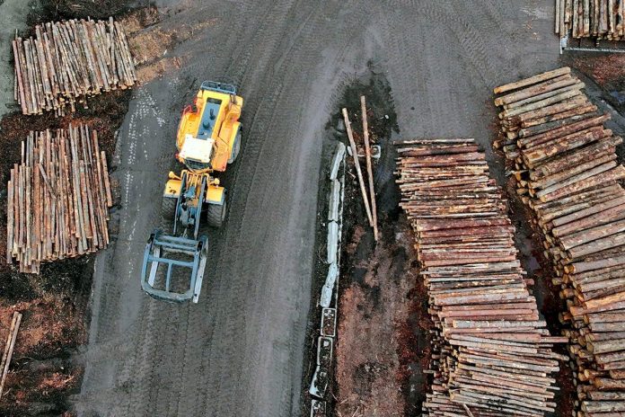 Trump imposes 10% lumber tariff, higher rates on wooden products