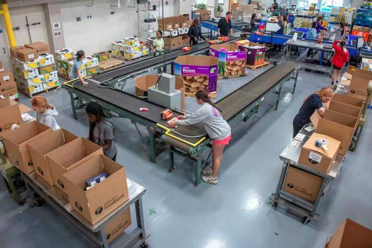 USDA hunger survey cancellation to obscure Trump food stamp cuts impact USDA hunger survey cancellation to obscure Trump food stamp cuts impact