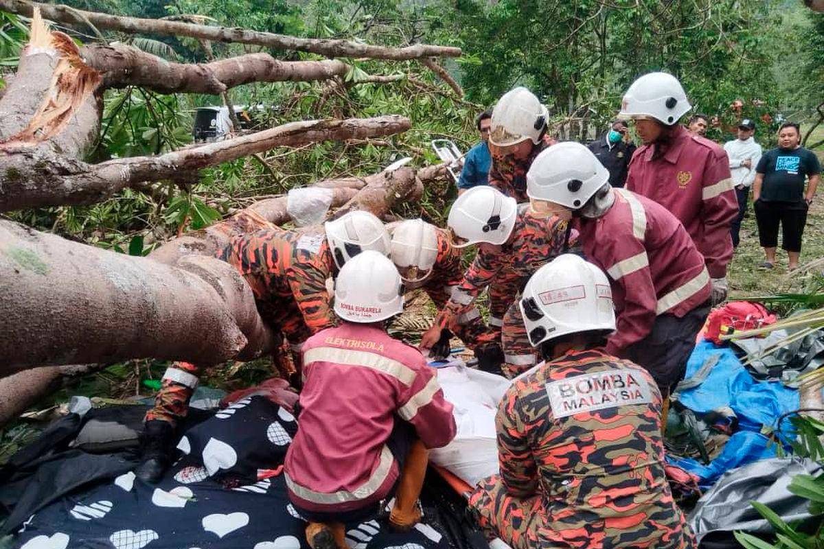 Woman killed, two injured after tree crushes tent at Janda Baik campsite Woman killed, two injured after tree crushes tent at Janda Baik campsite