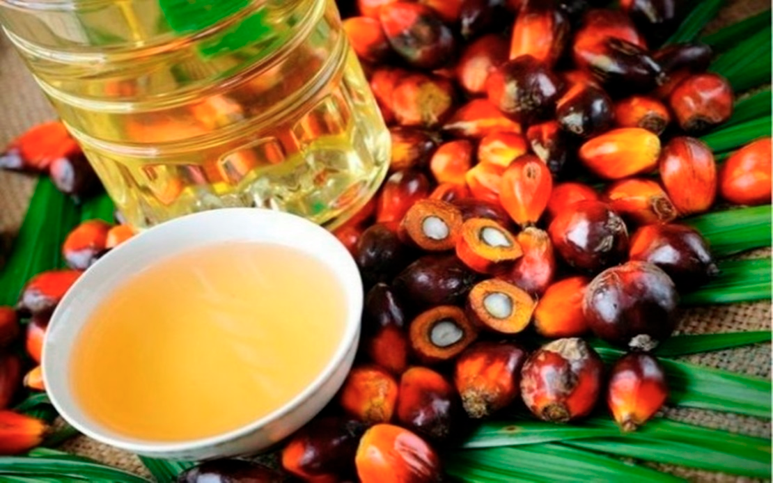 AI slashes palm oil labour needs by 45%