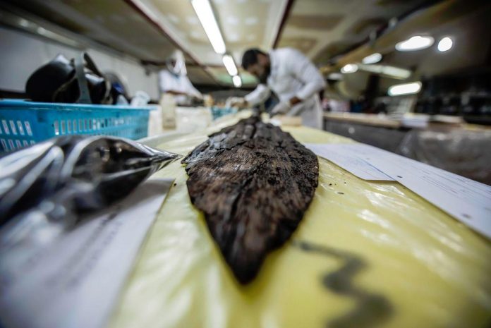 Egyptian conservators restore King Tut treasures for Grand Egyptian Museum