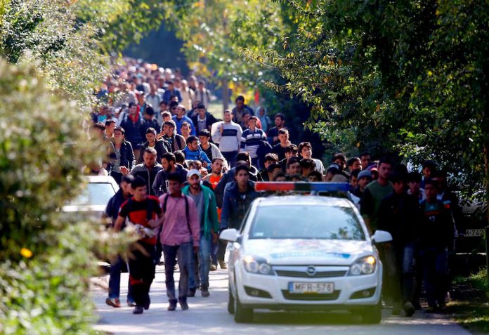 Austria deports Syrian convict in EU first since Assad fall Austria deports Syrian convict in EU first since Assad fall