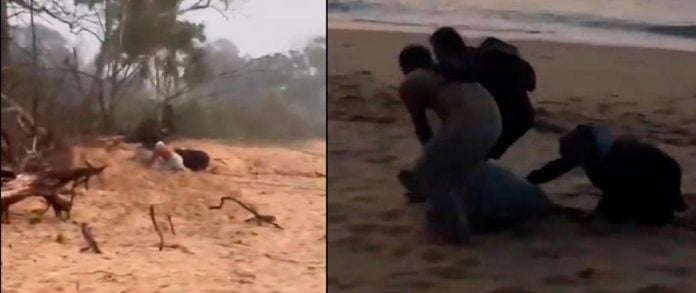 Man arrested for stealing turtle eggs at Cherating beach