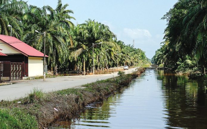 Call for overhaul of rural road safety assessments