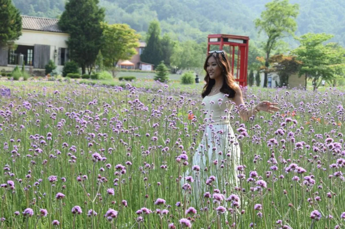 Instagram-worthy hani lavender farm. – piccourtesyofgangwonstate