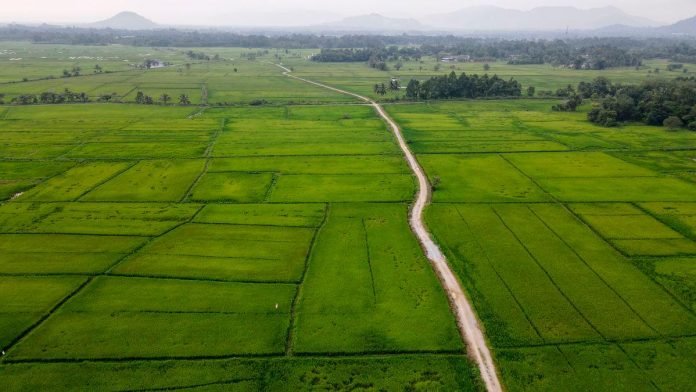 Kelantan govt tackles padi field water supply with two key projects