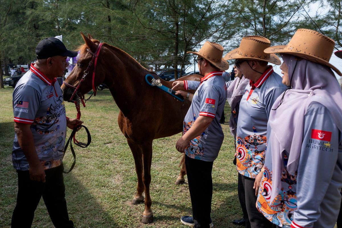 Kelantan aims to become national hub for horse breeding industry