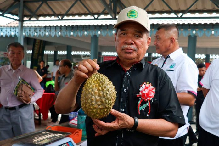 Malaysia durian exports to surpass RM1.5 billion in 2025