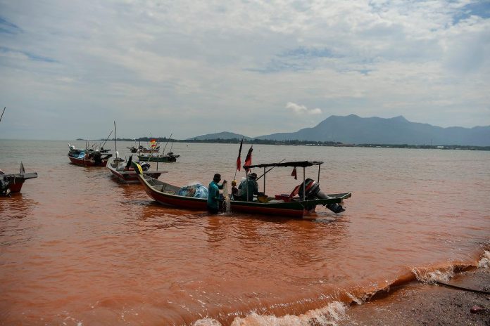 Fishermen call for stone seawall to restore water quality at Teluk Nipah