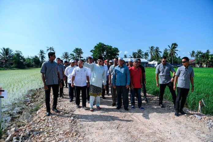 Five-season paddy planting infrastructure starts early in Muda area