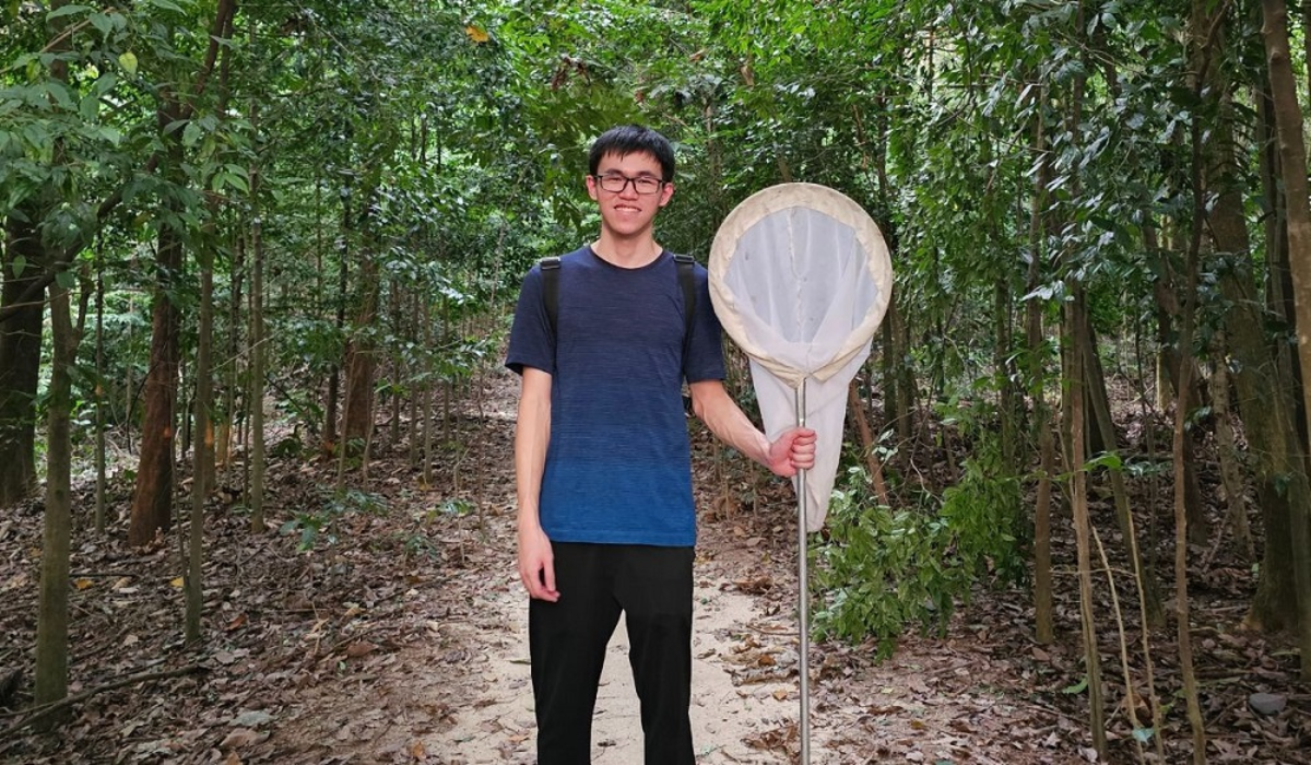 Rare firefly species not seen over 100 years rediscovered in bukit kiara Rare firefly species not seen over 100 years rediscovered in bukit kiara