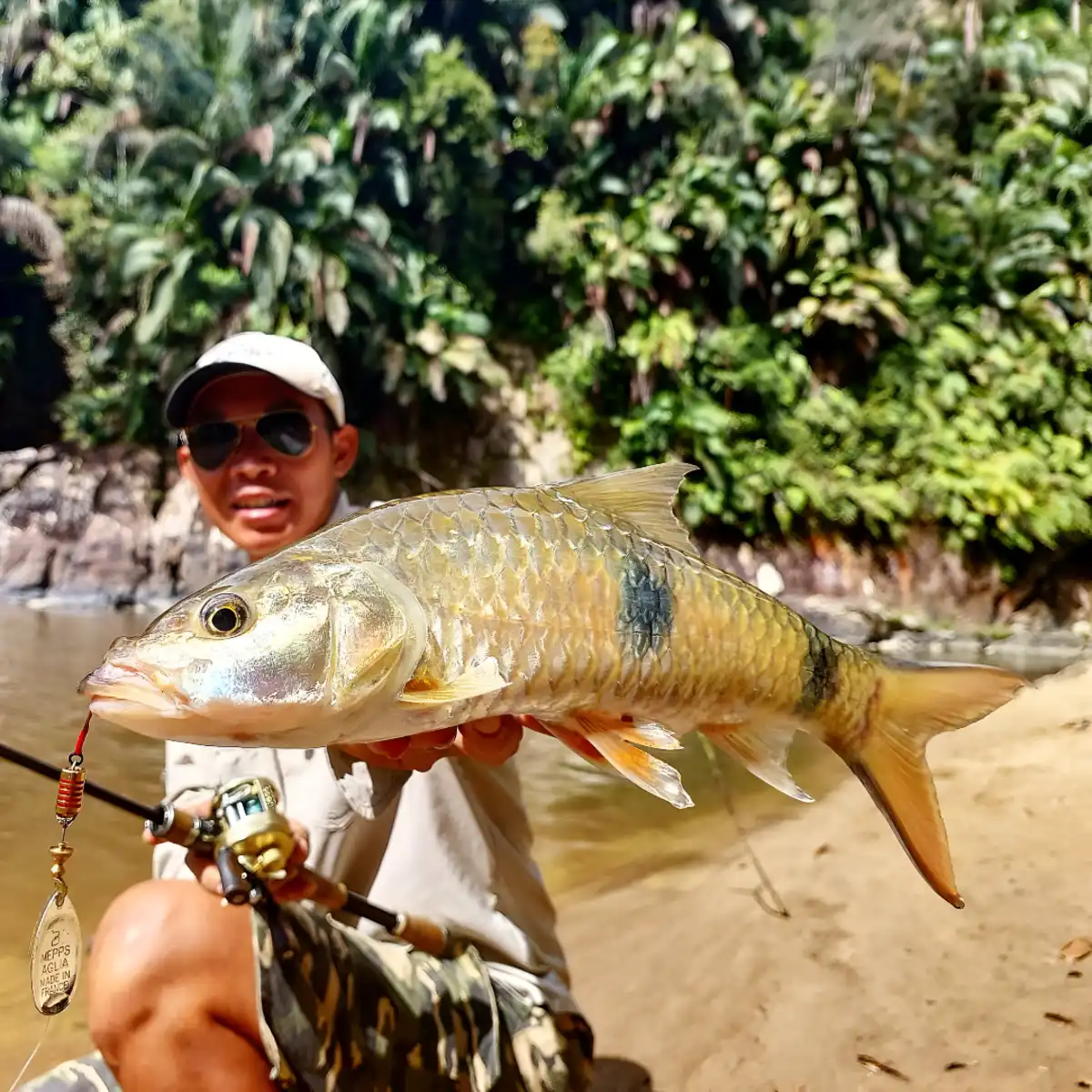 Sarawak rivers reveal undiscovered species Sarawak rivers reveal undiscovered species