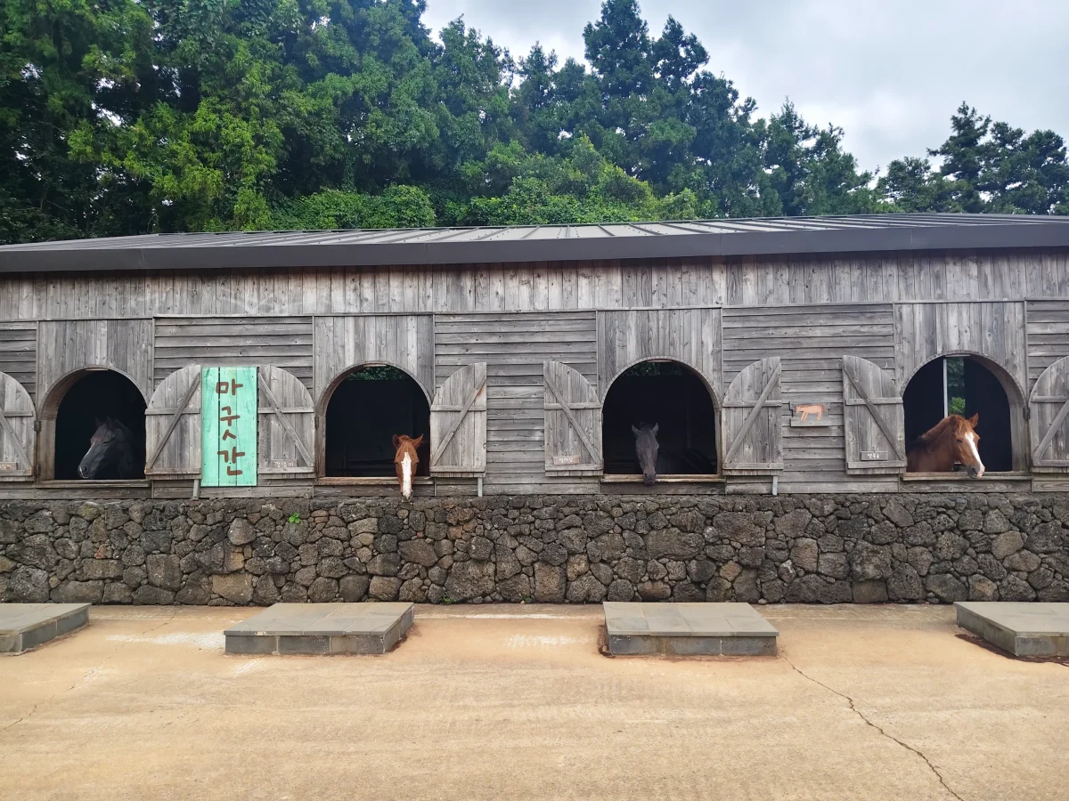 New attractions unlocked in jeju, south korea New attractions unlocked in jeju, south korea