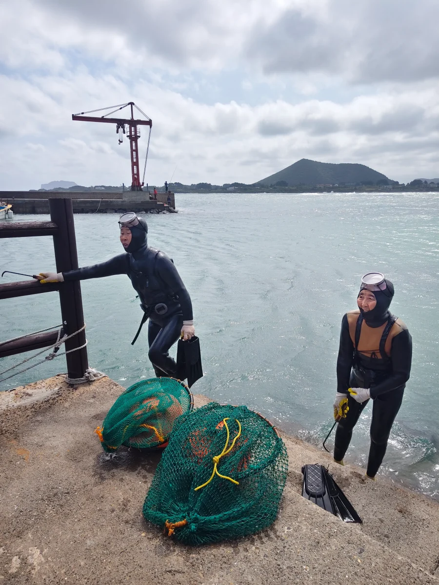 New attractions unlocked in jeju, south korea New attractions unlocked in jeju, south korea