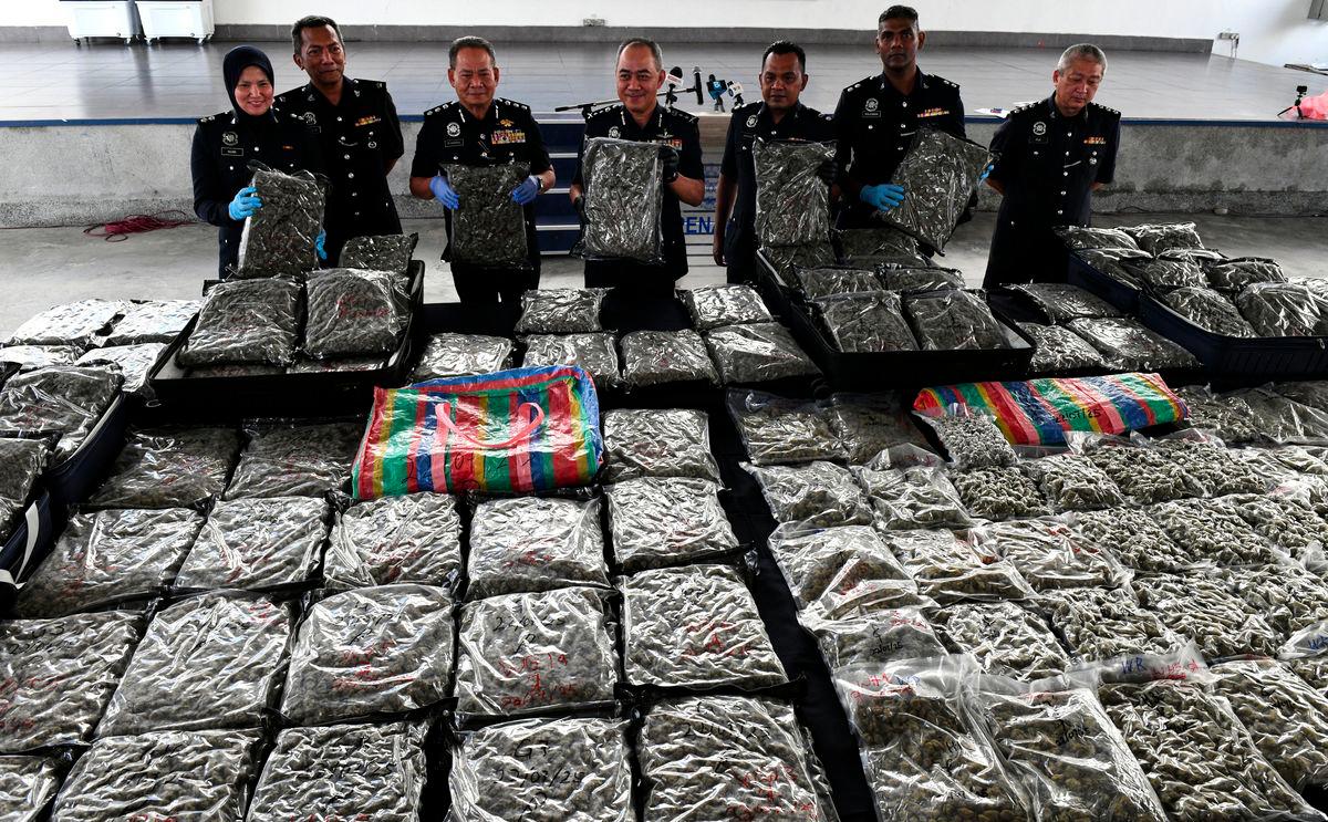Four arrested, RM3.72 million ganja seized in Bukit Mertajam raids Four arrested, RM3.72 million ganja seized in Bukit Mertajam raids