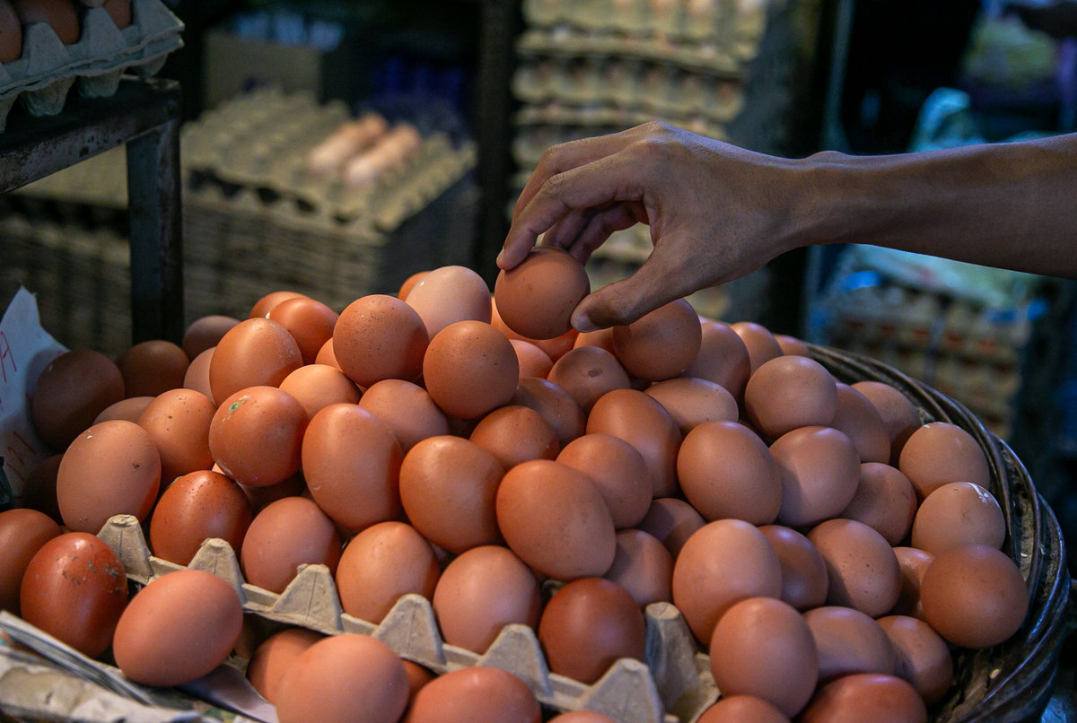 Malaysia restructures chicken egg subsidy for sustainability Malaysia restructures chicken egg subsidy for sustainability