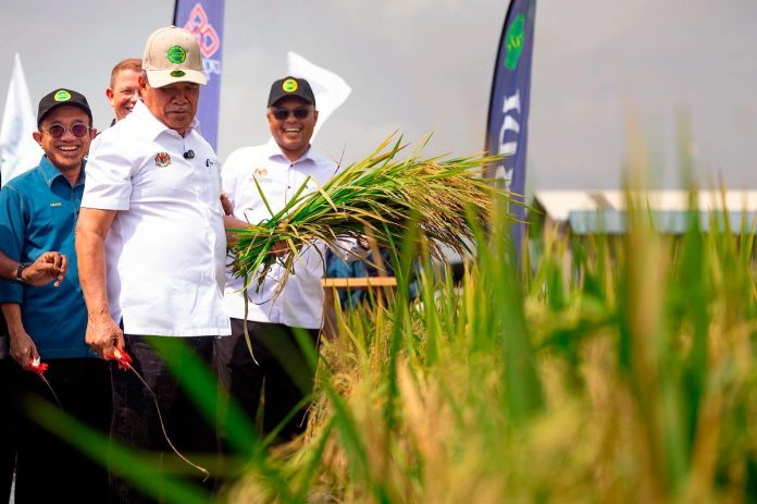 Cloud seeding to tackle dry padi fields in Perak - Mohamad