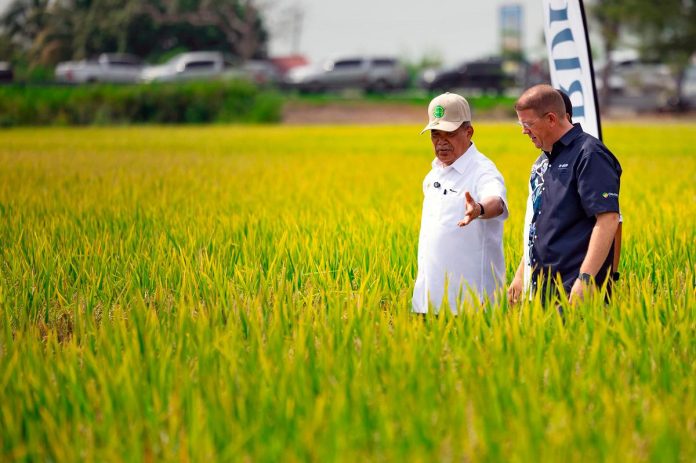 National Seed Council to regulate seed industry and prevent monopoly