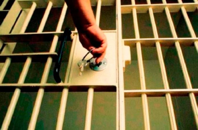 Former Danish minister jailed for four months over child pornography