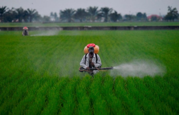 Malaysia’s 13MP food security strategies for sustainable agrofood growth