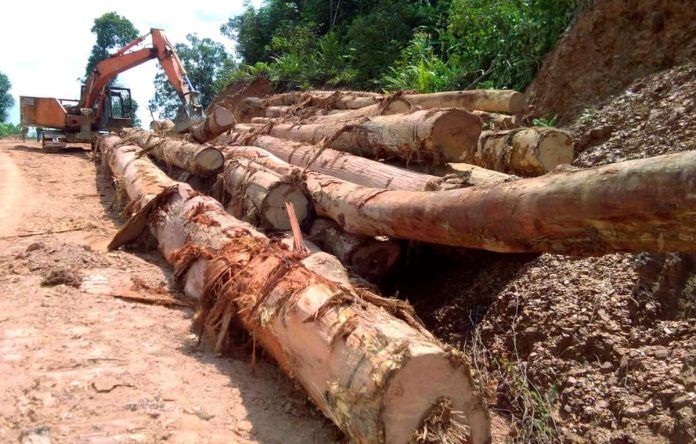 Lorry owner fined RM1,600 for moving logs without pass in Sabah