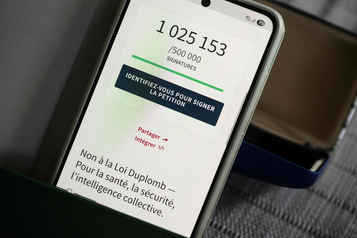 French petition hits 1mn signatures against bee-killing pesticide French petition hits 1mn signatures against bee-killing pesticide