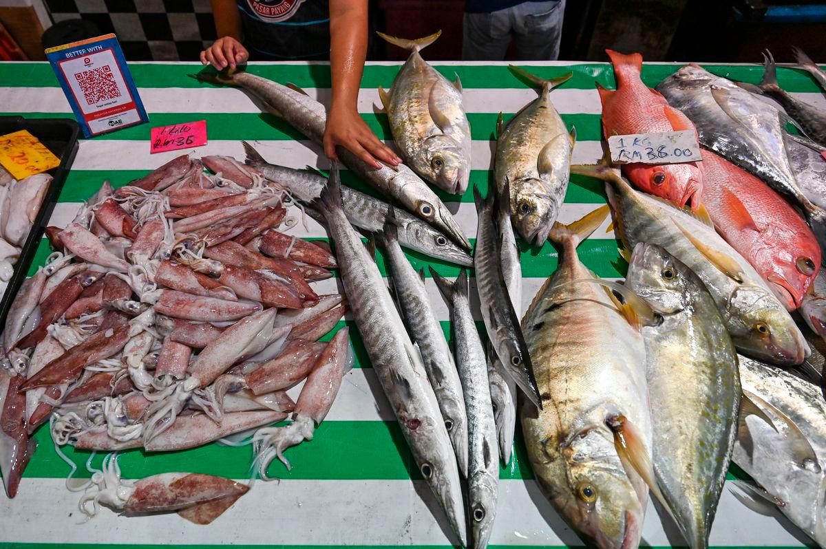 Seafood prices stable in Terengganu despite SST expansion Seafood prices stable in Terengganu despite SST expansion