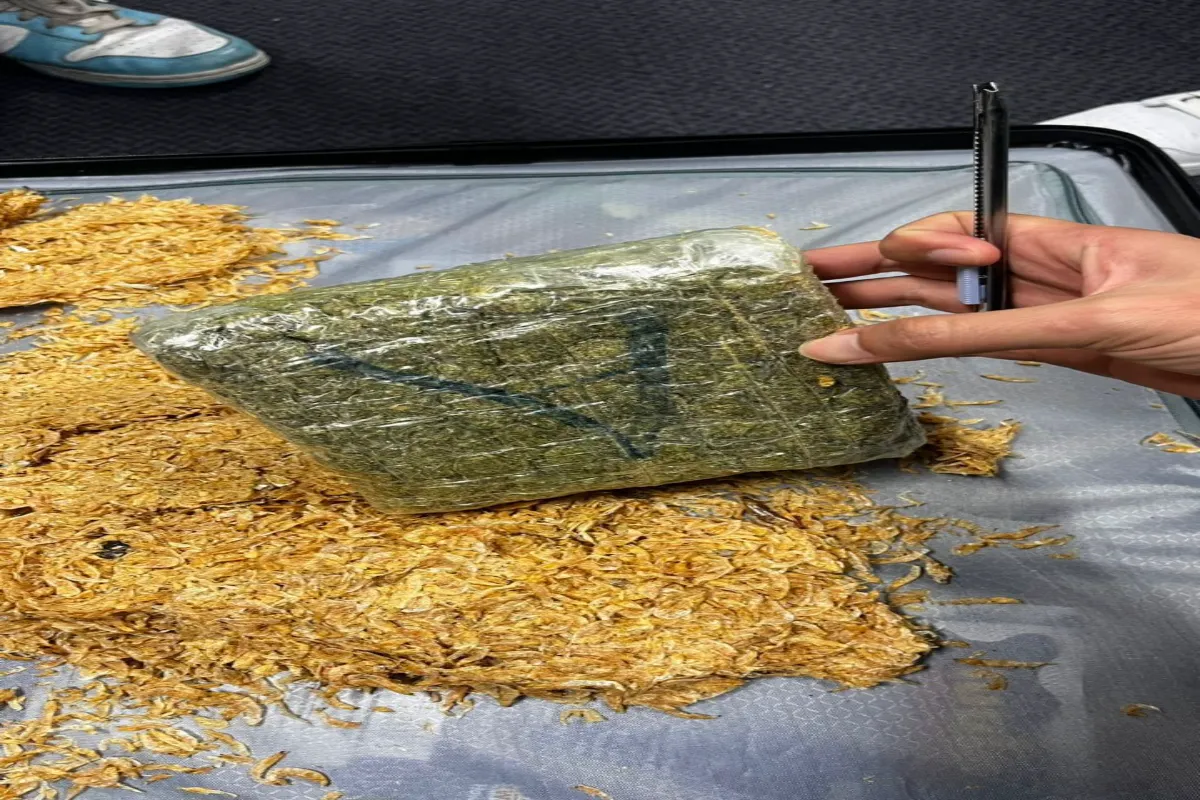 94aa1776-5c34-4344-8f51-d9b1e8209130 Japan ganja