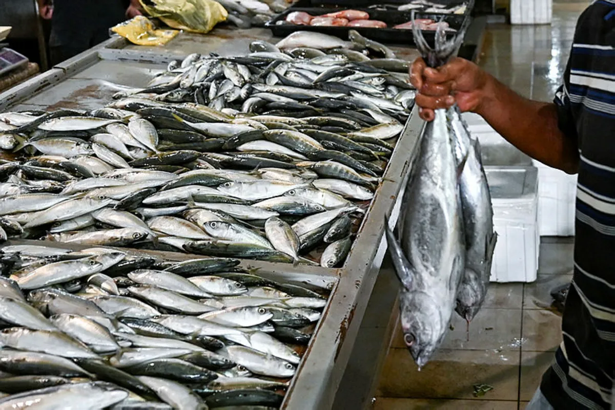 Aktiviti memancing diharamkan di kawasan tadahan air Pulau Pinang Aktiviti memancing diharamkan di kawasan tadahan air Pulau Pinang