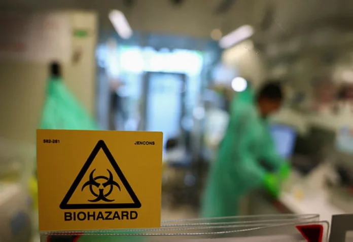 Bird flu hits Europe and North America earlier than usual Bird flu hits Europe and North America earlier than usual