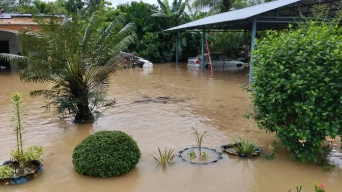 Felda Mata Ayer hit by worst floods in over 40 years